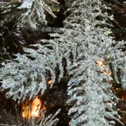 Christmas Trees><noscript><img width=