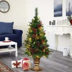 Christmas Trees><noscript><img width=
