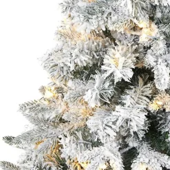 Christmas Trees><noscript><img width=