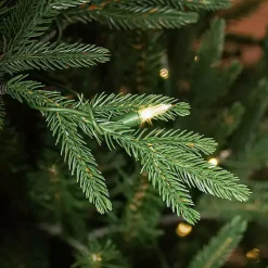 Christmas Trees><noscript><img width=