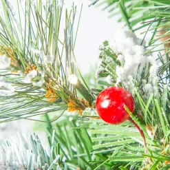 Christmas Trees><noscript><img width=