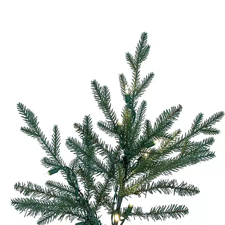 Christmas Trees>Kirklands Home 5.5 ft. Pre-Lit Itasca Fraser Christmas Tree