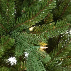 Christmas Trees><noscript><img width=