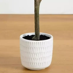 Trees & Topiaries><noscript><img width=