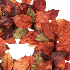 Fall><noscript><img width=