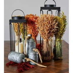 Lanterns><noscript><img width=