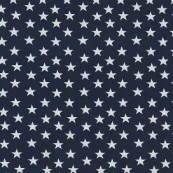 Kirklands Home Blue & White Stars Outdoor Seat Cushions, Set of 2 Sale