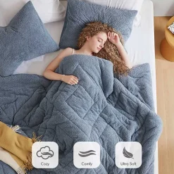 Kirklands Home Quilted Teddy 2-pc. Twin Comforter Set Blue