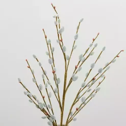 Stems & Bouquets><noscript><img width=