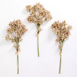Stems & Bouquets><noscript><img width=
