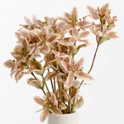 Stems & Bouquets><noscript><img width=