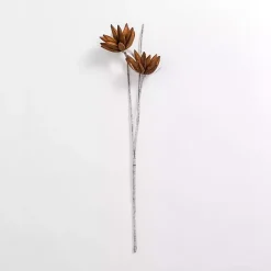Stems & Bouquets><noscript><img width=