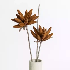 Stems & Bouquets><noscript><img width=