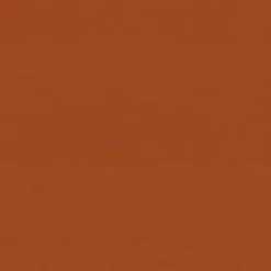 Kirklands Home Burnt Outdoor Seat Cushions, Set of 2 Orange