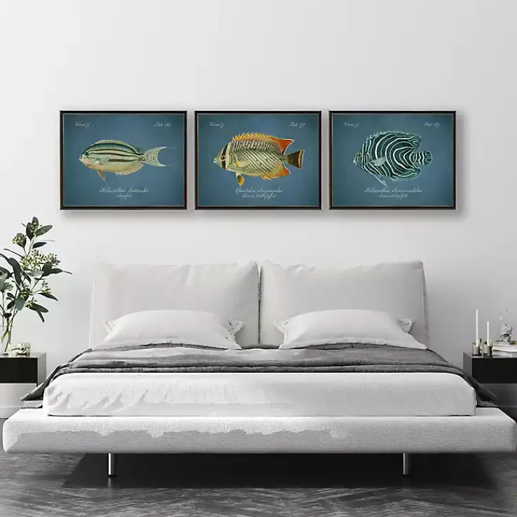 Kirklands Home Chevron Butterflyfish Framed Wall Art Blue Discount