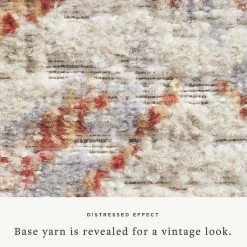 Kirklands Home Chris Loves Julia x Loloi Rosemarie Iris Rug, 6x9 Gray