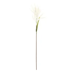 Stems & Bouquets><noscript><img width=