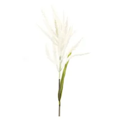 Stems & Bouquets><noscript><img width=