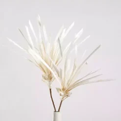 Stems & Bouquets><noscript><img width=