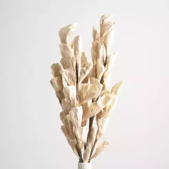 Stems & Bouquets><noscript><img width=