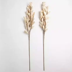 Stems & Bouquets><noscript><img width=
