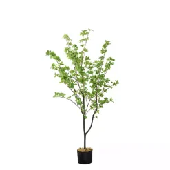 Trees & Topiaries><noscript><img width=