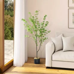 Trees & Topiaries><noscript><img width=