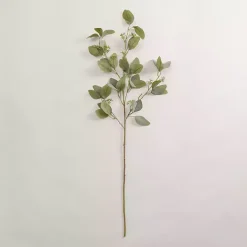 Stems & Bouquets><noscript><img width=