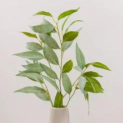 Stems & Bouquets><noscript><img width=