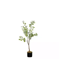 Trees & Topiaries><noscript><img width=