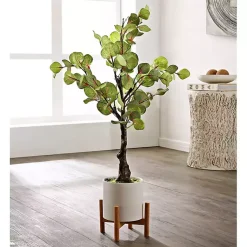 Trees & Topiaries><noscript><img width=
