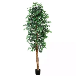Trees & Topiaries><noscript><img width=