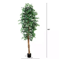 Trees & Topiaries><noscript><img width=