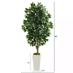 Trees & Topiaries><noscript><img width=