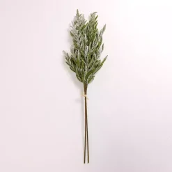 Stems & Bouquets><noscript><img width=
