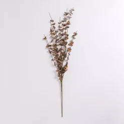 Stems & Bouquets><noscript><img width=