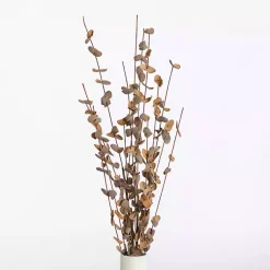 Stems & Bouquets><noscript><img width=
