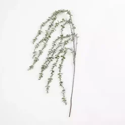Stems & Bouquets><noscript><img width=