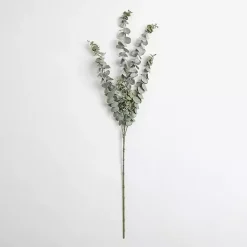 Stems & Bouquets><noscript><img width=