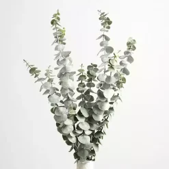 Stems & Bouquets><noscript><img width=