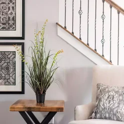 Trees & Topiaries><noscript><img width=