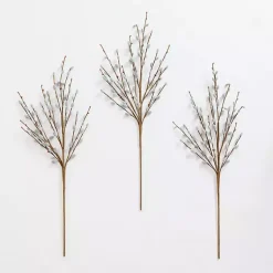 Stems & Bouquets><noscript><img width=
