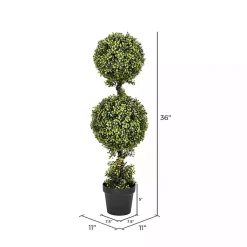 Trees & Topiaries><noscript><img width=