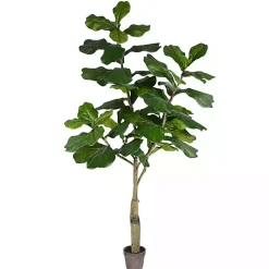 Trees & Topiaries><noscript><img width=