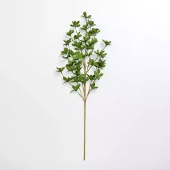 Stems & Bouquets><noscript><img width=