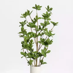 Stems & Bouquets><noscript><img width=
