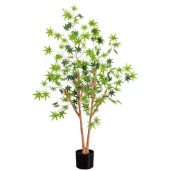 Trees & Topiaries><noscript><img width=
