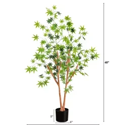 Trees & Topiaries><noscript><img width=