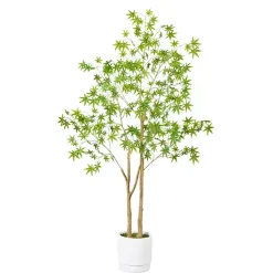 Trees & Topiaries><noscript><img width=