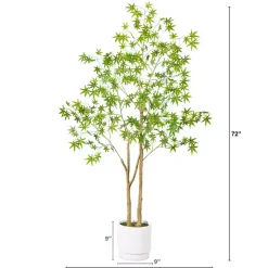 Trees & Topiaries><noscript><img width=